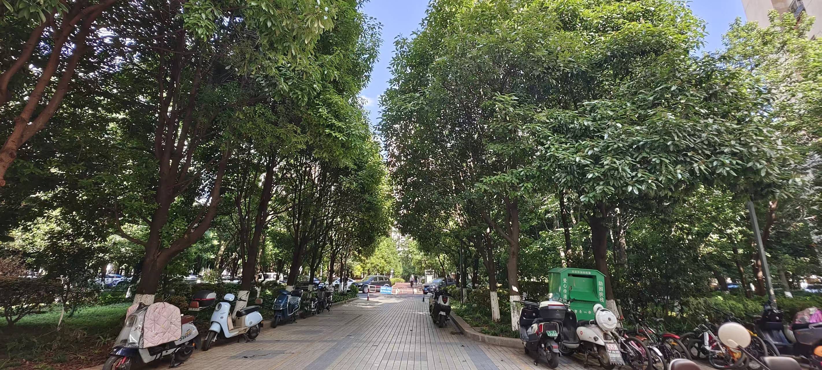 红云小区A组团 3室2厅1卫 85.08㎡ 70万 - 图片2