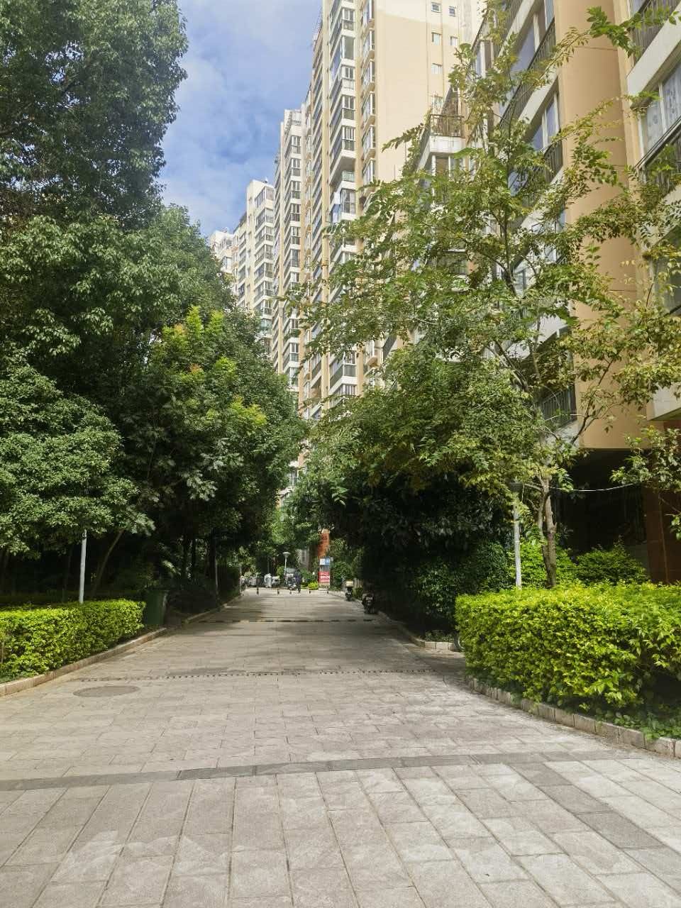 五华区 怡锦苑南区 3室2厅2卫 118.16㎡ 朝南 精装 140万 - 图片2